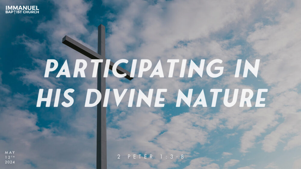 Participating in His Divine Nature (2 Peter 1:3-8)