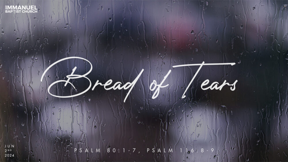 Bread of Tears (Psalm 80:1-7)