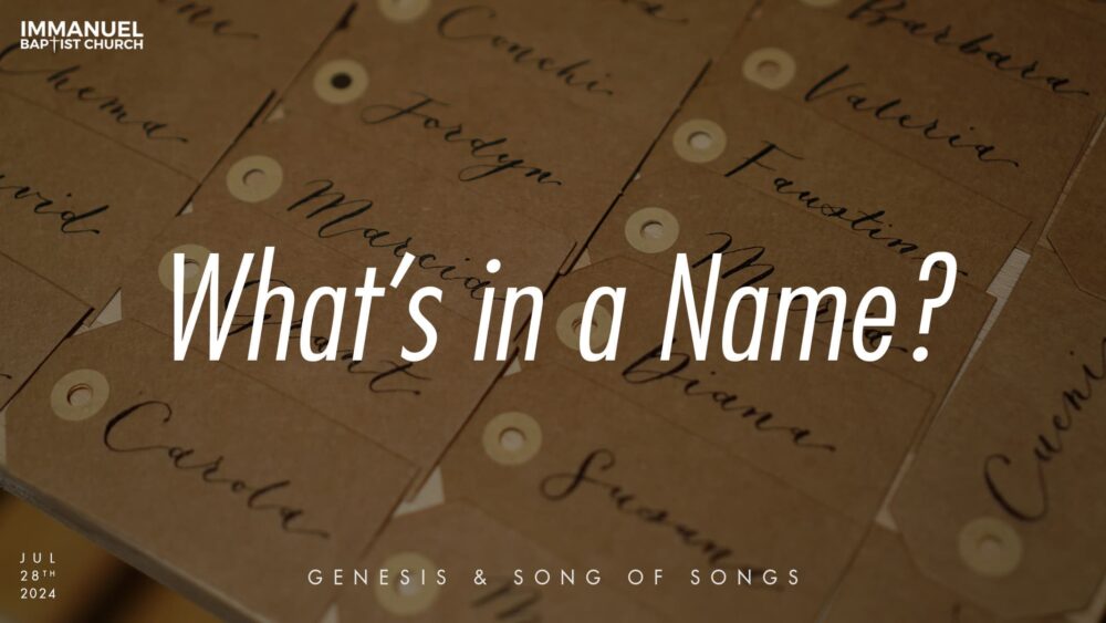 What\'s in a Name? (Genesis 32:22-32)