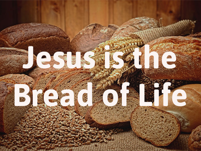 Weekly Word: Jesus is the bread of life